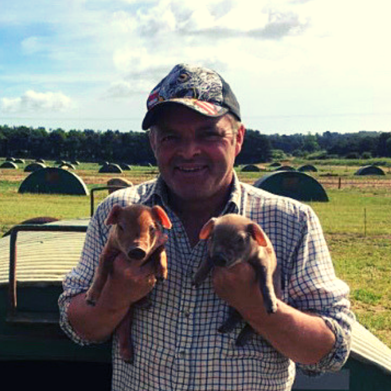 trevor with piglets