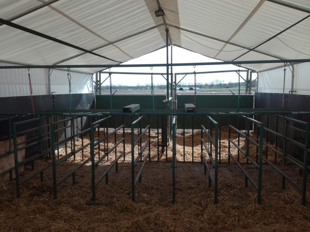 UK pig stock person jobs