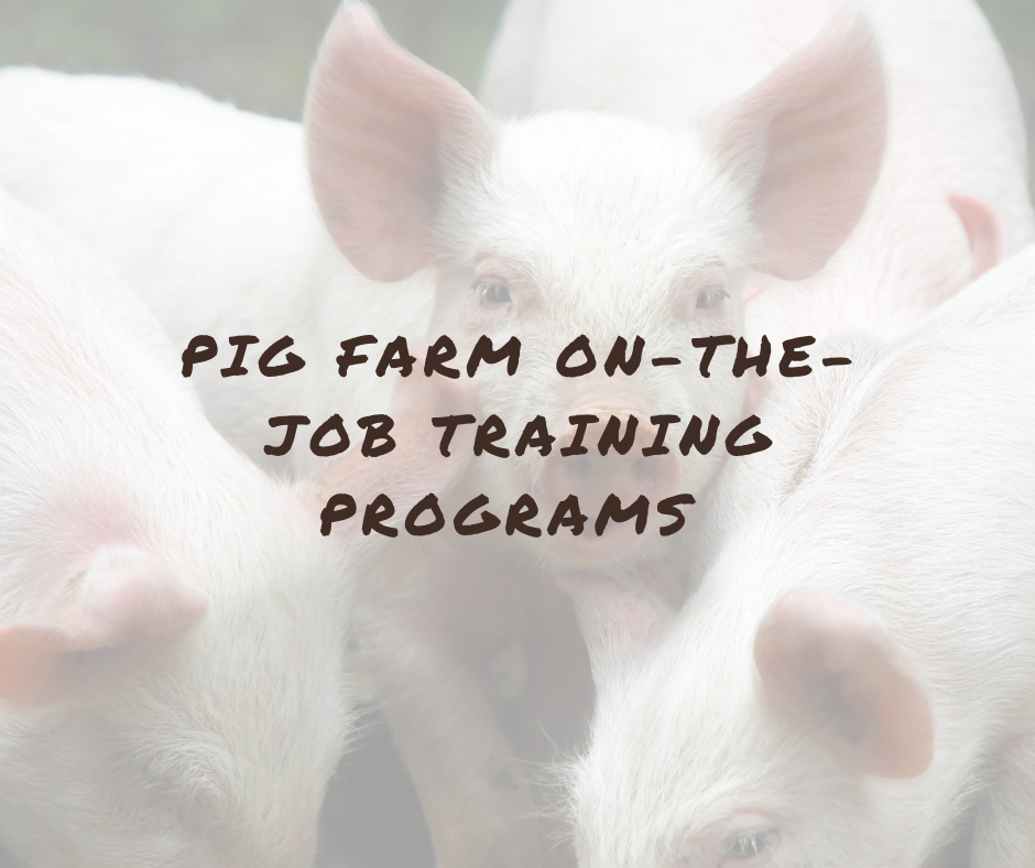 pig farm training program