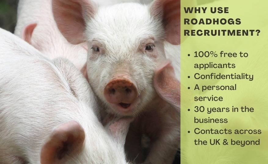 Why Use Roadhogs Recruitment?