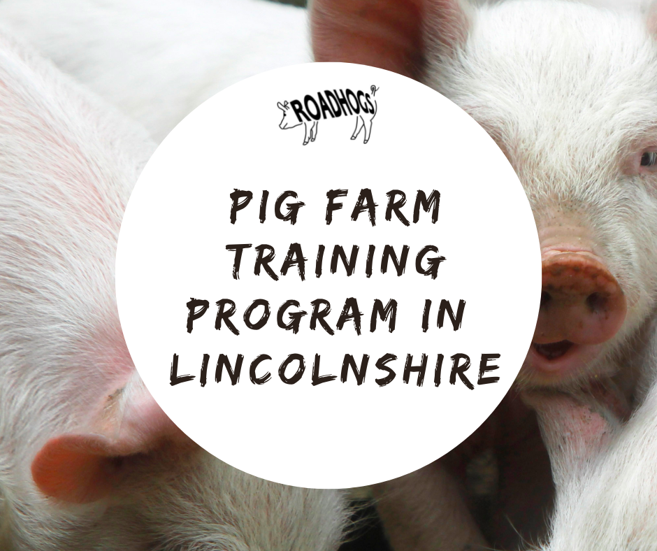 pig farm training in Lincolnshire